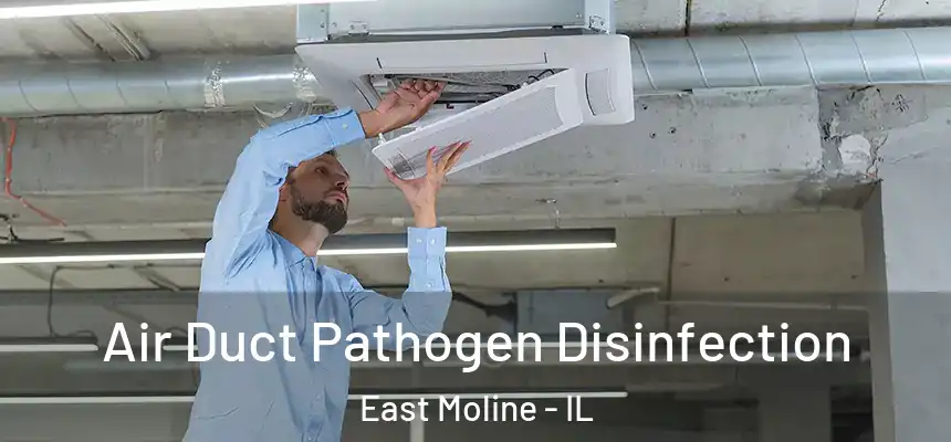 Air Duct Pathogen Disinfection East Moline - IL