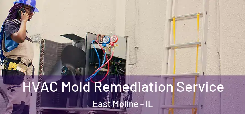  HVAC Mold Remediation Service East Moline - IL