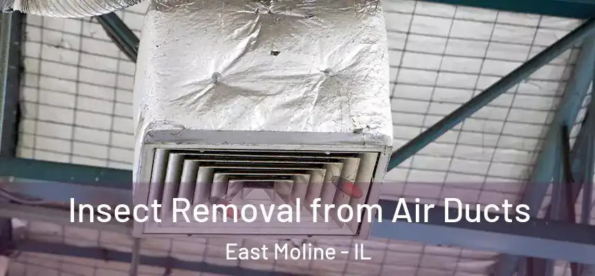  Insect Removal from Air Ducts East Moline - IL