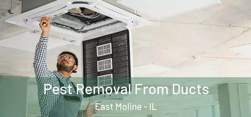  Pest Removal From Ducts East Moline - IL