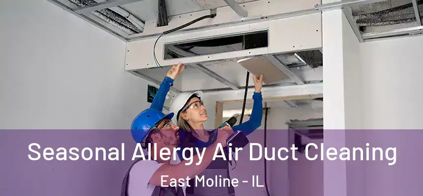  Seasonal Allergy Air Duct Cleaning East Moline - IL