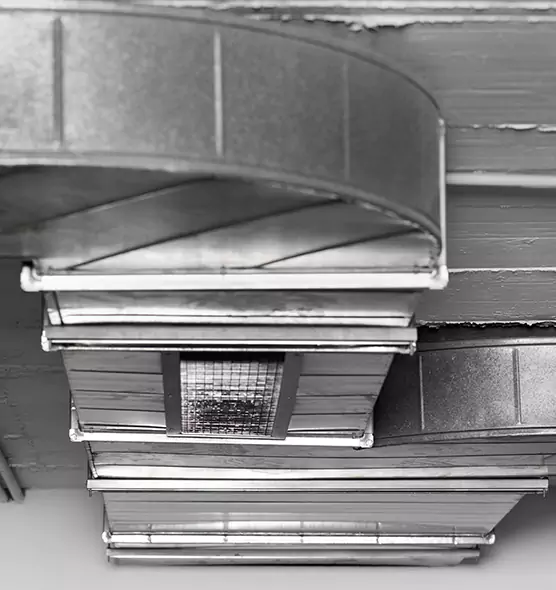 Professional Air Duct Pet Hair Removal in East Moline, IL