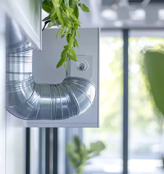 Professional Eco-Safe Dryer Vent Cleaning in East Moline, IL