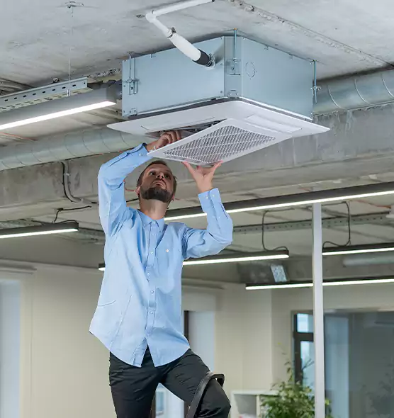 Advanced Rodent Droppings In Vents in East Moline, IL