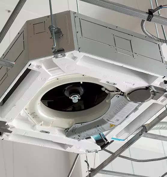 Professional Roof Vent Lint Removal East Moline, IL