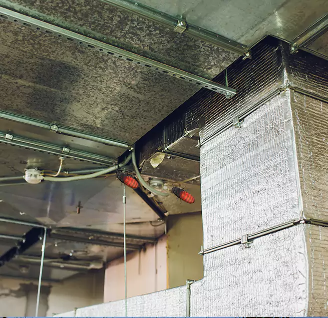 Why Homeowners & Businesses Trust Us in East Moline, IL?