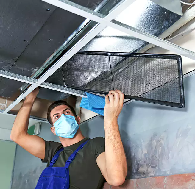 Why Homeowners Businesses Trust Us in East Moline, IL