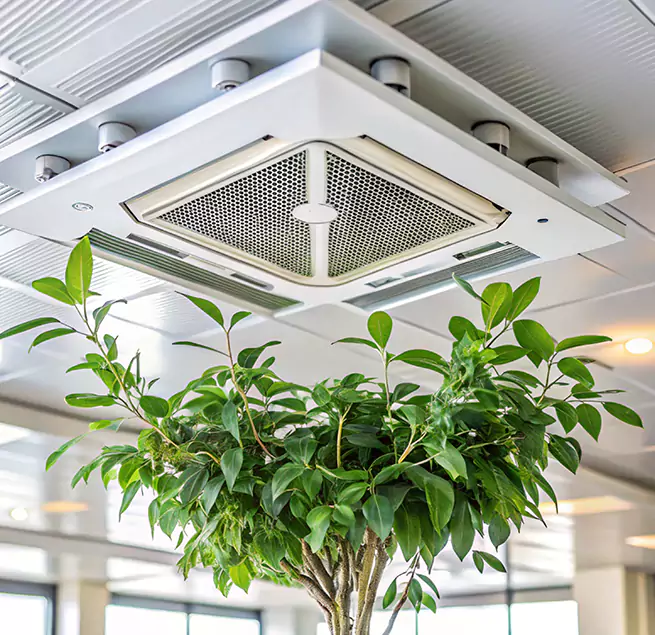 Why Homeowners & Businesses Trust Us in East Moline, IL?