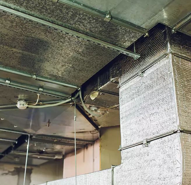 Why Homeowners & Businesses Trust Us in East Moline, IL?